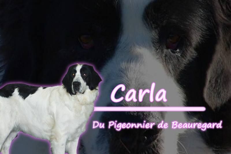 Carla du Pigeonnier de Beauregard